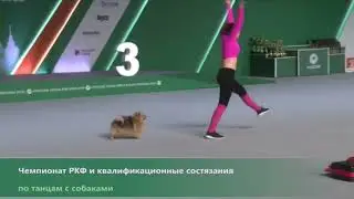 Танцы с собаками. Скопина Анастасия и немецкий шпиц Джесс. «Зарядка»