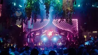 Art Of The Wild | 2025 After Movie