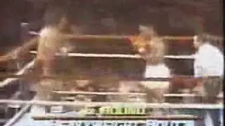 Tyson Knockouts