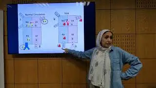 TGA Diagnosis - Soha Romeih