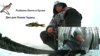 Рыбалка Охота в Кушве - Два дня Ловли Чудищ