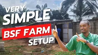 How to Build a Black Soldier Fly House: Setting Up a BSF Larvae Farm