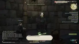 Playing FF14 until I can irl. Shadowbringers 6-3