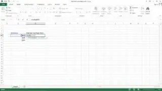 Excel  2013 Tutorial - How to Percent Distribution without a Total Cell