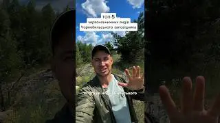 Червонокнижні види фауни Чорнобильського біосферного заповідника #лавромандри #lavromandry