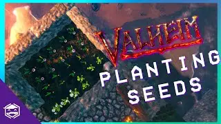 How to Plant Seeds & Cones to Farm Carrots, Turnips, Barley, Flax, Beech, Pine, and Fir in Valheim