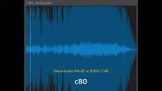 Warm Audio WA-87 vs SONY C-80 (눈물나는 날에는)