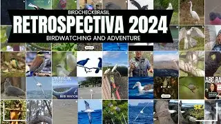 RETROSPECTIVA 2024 - AUSTRALIA E INDONESIA