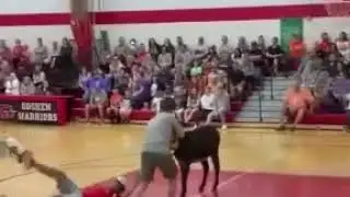 Новый вид спорта