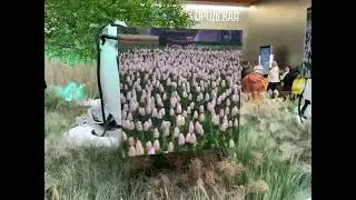 Видео 1