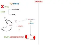 Indirect sympathomimetics - in Arabic