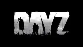 DayZ zaznam stremu