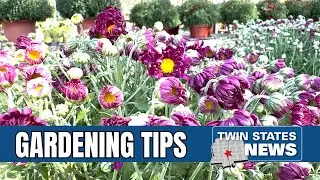 Is the fall season the prime time for landscaping?