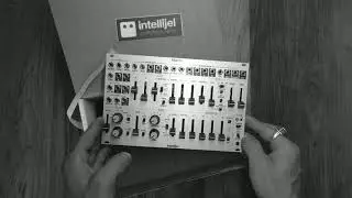 Intellijel Atlantis / synthesizer voice (Roland sh-101)