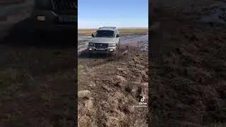 Оффроуд по болоті