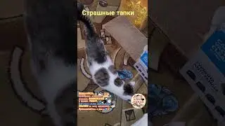 Страшные тапки.