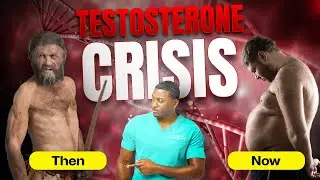 The TESTOSTERONE Crisis - Dr. Bobby Price