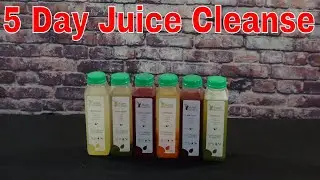 5 Day Juice Cleanse By Raw Fountain Step By Step