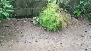 ANG LAKAS NG ULAN