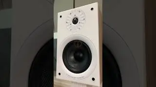 Starke Sound Beta 7 Speaker and Muzishare X9 300B Amp