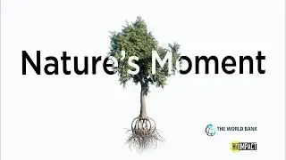 PS Events: Nature's Moment