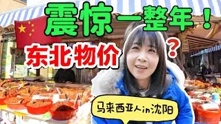 中国东北早市，价格便宜到100块都花不掉！马来西亚人逛到投降…｜沈阳篇China vlog｜朝鲜风情街