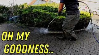 Full REFUND! Months After Pressure Washing This FILTHY Driveway. *FLAWLESS BLESSINGS*