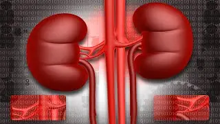 These Signs Indicate That Your Kidneys Are In Danger
