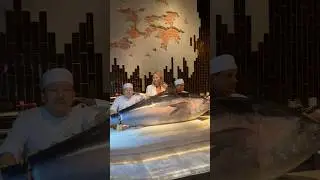 Самый большой тунец в Дубае 200кг 🐠😻