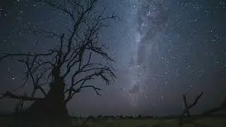 Natucate - Private Wilderness Experience 2021 in Botswana