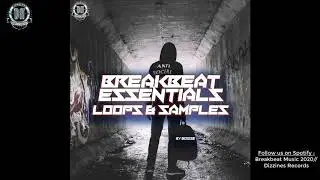 BREAKBEAT ESSENTIALS LOOPS & SAMPLES VOL 2 by Gosize [Dizzines Records]