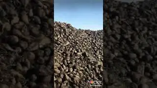 Бунакаси хали булмаган куринг ва мазза килинг
