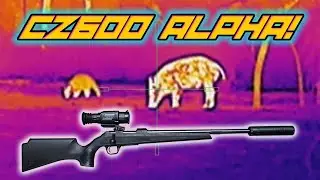 Hog Hunting at Night with the CZ600 Alpha!
