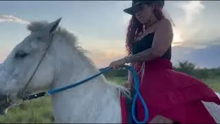 Hard Pony Riding 
