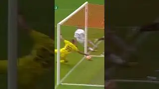 Говорят, если пересмотреть это видео больше 3 раз, то следующая неделя пройдёт 🔥