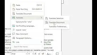 Translate Word Doc Online