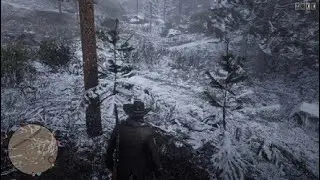 Red Dead Redemption 2 crazy   AD