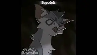 #котывоители #воробей #WarriorCats #cats #cat #jayfeather #рек