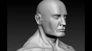 Zbrush Superhero - face study (cranium landmarks / muscles / tissue)