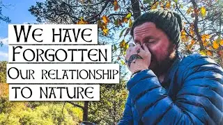 How Did Our Ancestors View the Natural World?