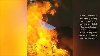 Florida man fighting for his life after being 'cooked alive' when he was Tasked by deputy
