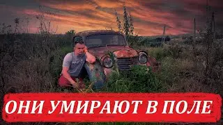 ОНИ УМИРАЮТ В ПОЛЕ.Ретро музей в открытом поле.