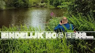 EINDELIJK nog eens in de NATUUR: een heel GEVARIEERDE FOTOWANDELING in een ONBEKEND GEBIED.