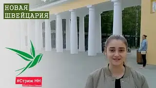 Новая Швейцария. СтрижНН 2021