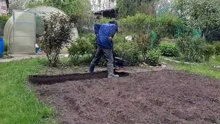 Planting Beets: The Perfect Seed Preparation