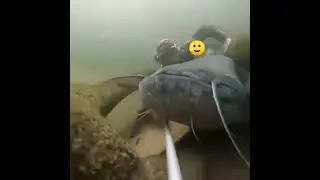 Пов:милый разговорчик :) 