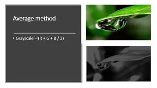 RGB to Gray scale Image Conversion
