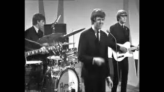 HERMAN S HERMITS You Won’t Be Leaving HQ sound