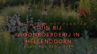 Tuin bij woonboerderij in Hellendoorn