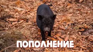 Изменения в хозяйстве